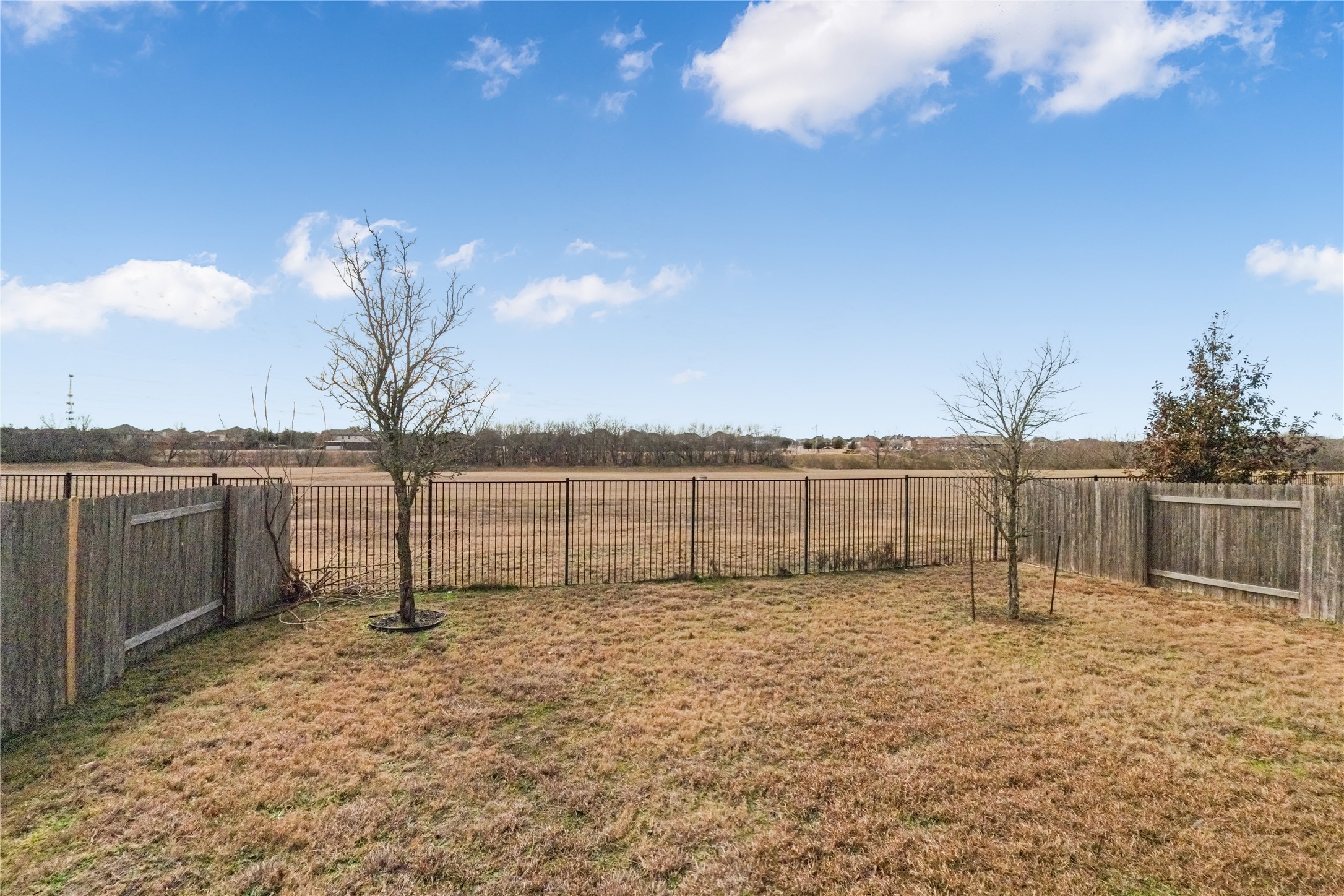 3413 Grail Hollows Road Pflugerville, TX 78660 - Photo 34 of 36 a view of a backyard of the house