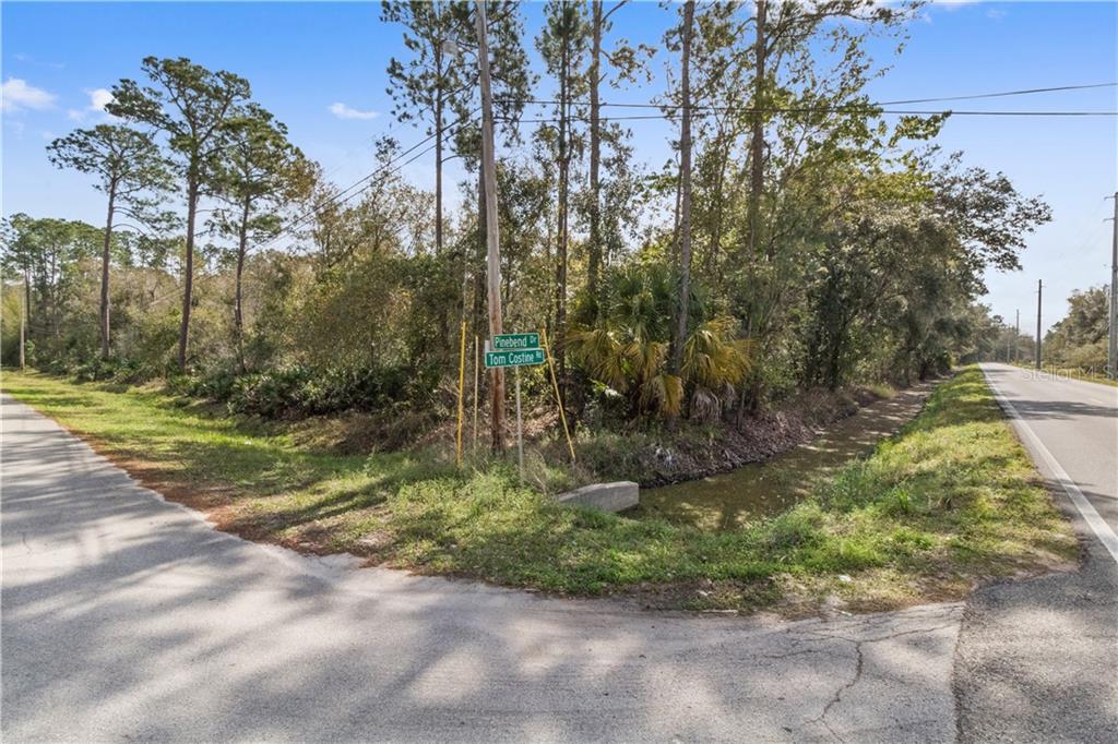 0 Tom Costine Road East Lakeland, FL 33809 - Photo 1 of 1 Gallery Image 1