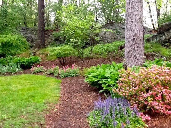 15 Edmunds Road Wellesley, MA 02481 - Photo 21 of 27
