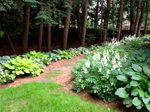 15 Edmunds Road Wellesley, MA 02481 - Photo 23 of 27