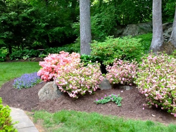 15 Edmunds Road Wellesley, MA 02481 - Photo 25 of 27