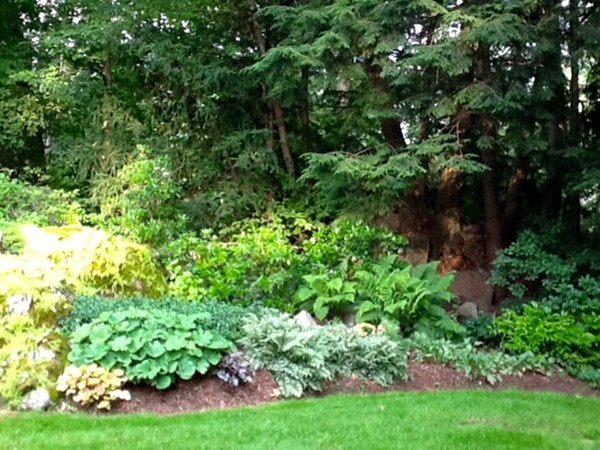 15 Edmunds Road Wellesley, MA 02481 - Photo 26 of 27