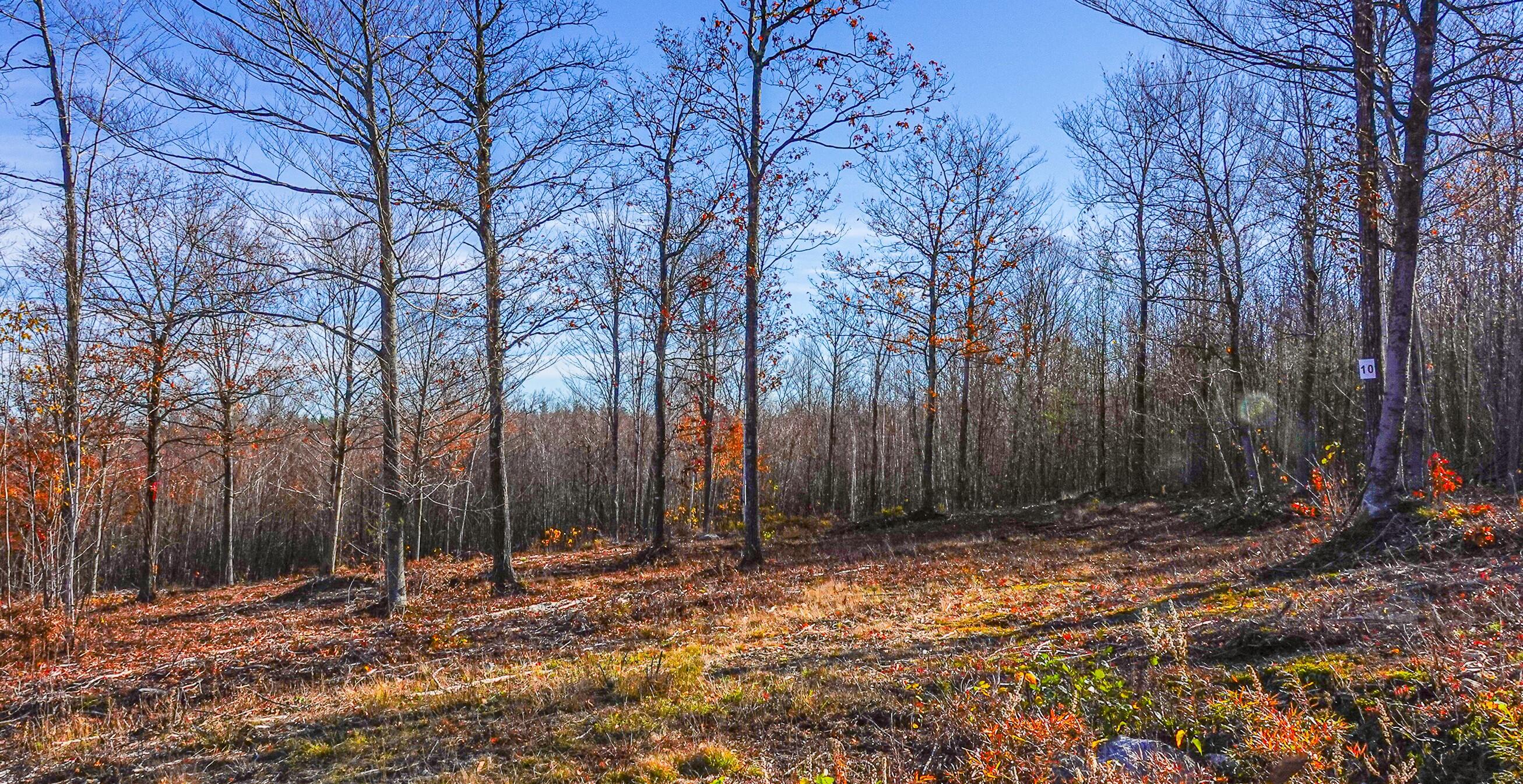 Lot 10 Mine Road Stoneham, ME 04231 - Photo 1 of 5 Lot 10-merrill farm lots-14 copy