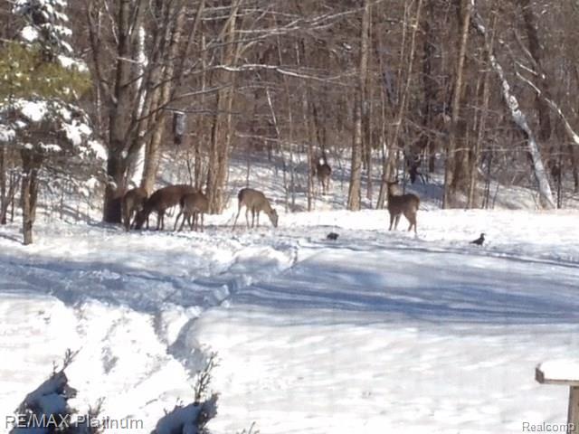 22270 Chubb Road Northville, MI 48167 - Photo 32 of 32 IMG_0129.JPG