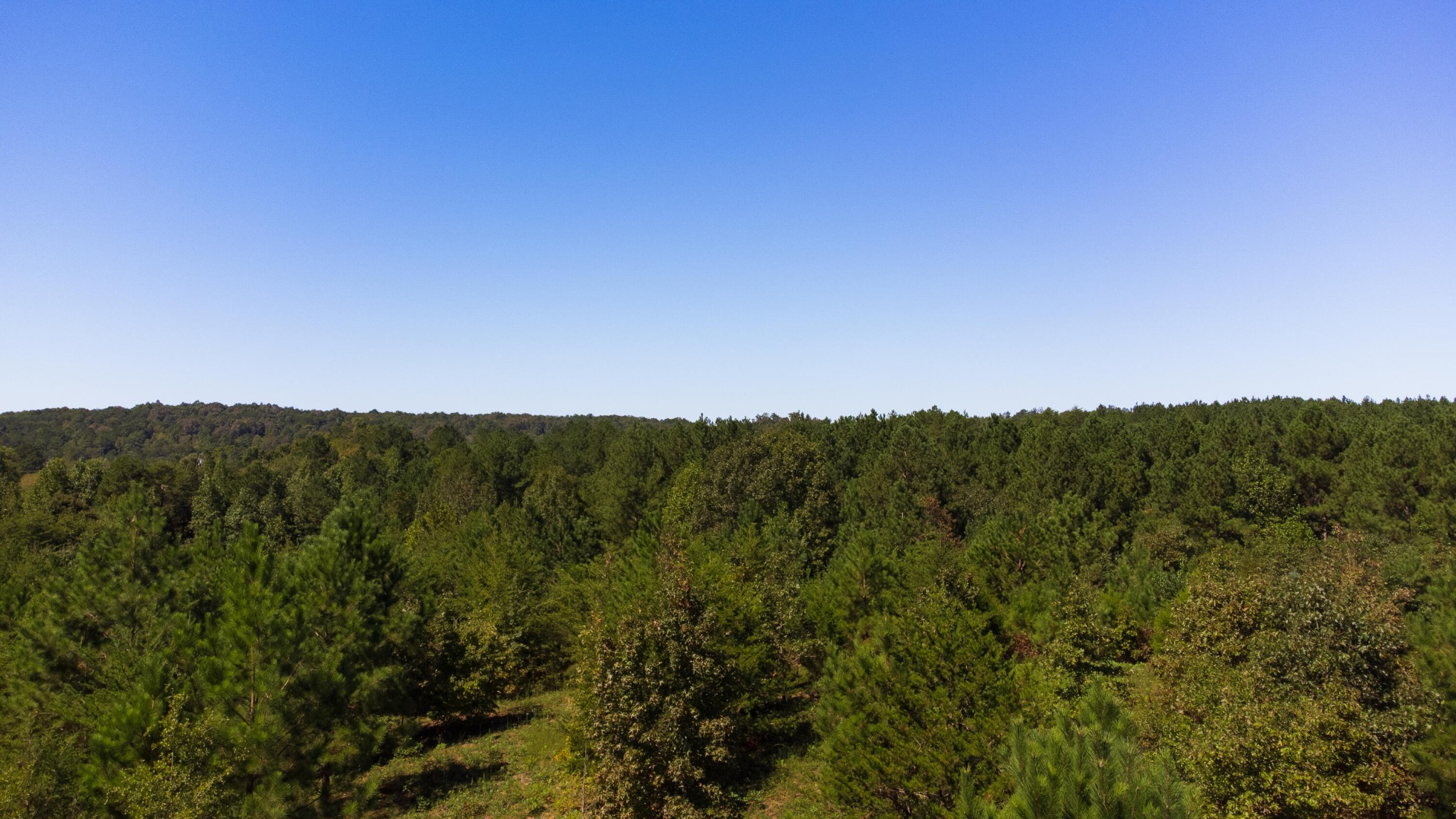7 Athens Road Calhoun, TN 37309 - Photo 2 of 5