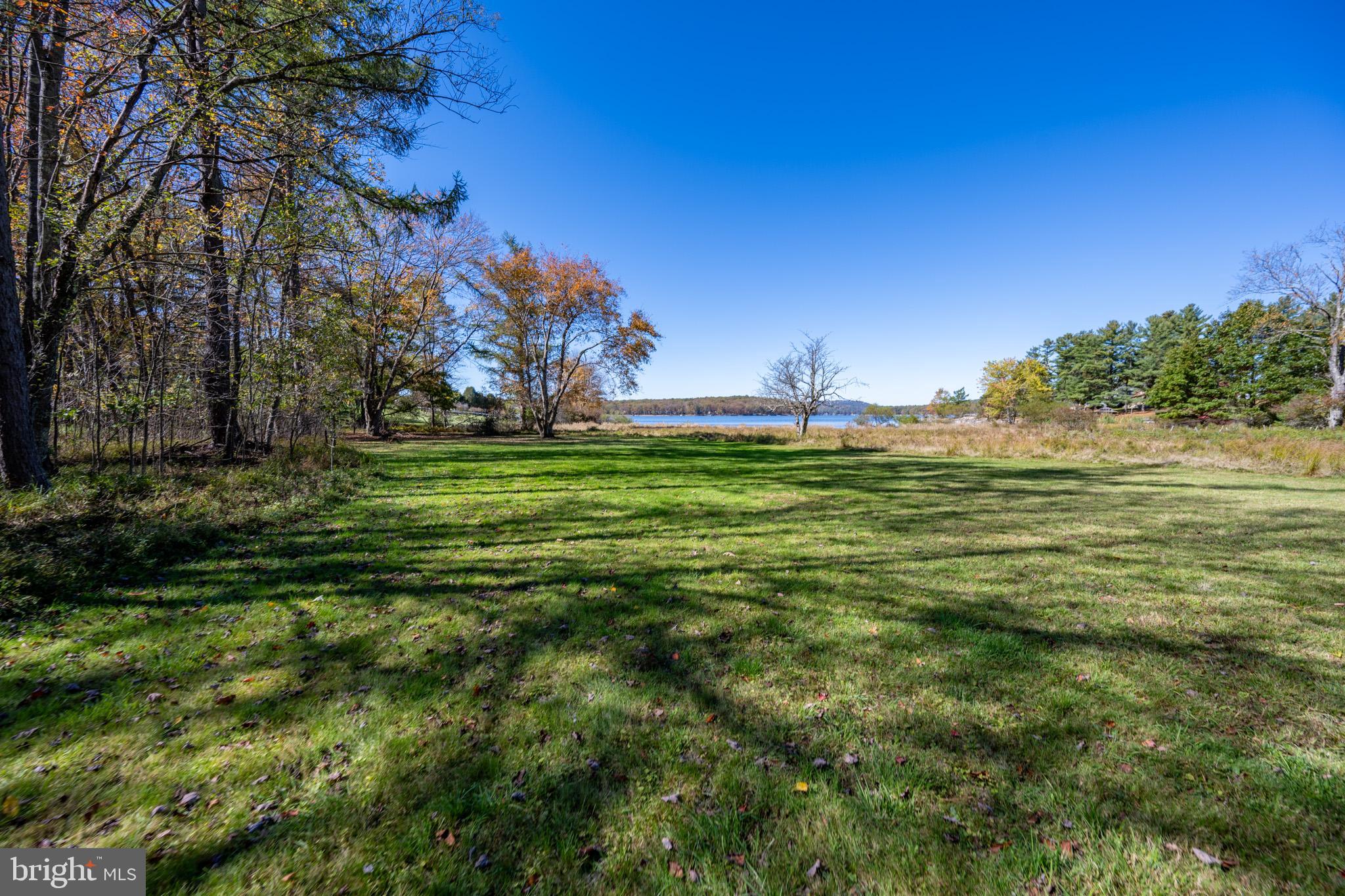 32 Hazelhurst Lane Swanton, MD 21561 - Photo 30 of 73 a backyard of a house with lots of green space and trees
