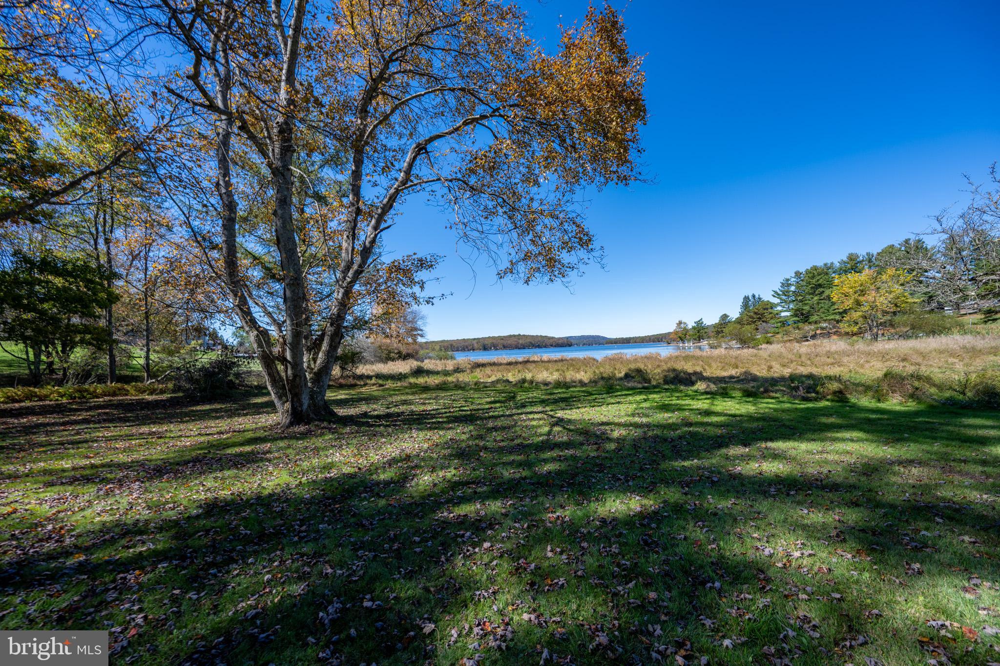32 Hazelhurst Lane Swanton, MD 21561 - Photo 58 of 73 a view of a field with a tree