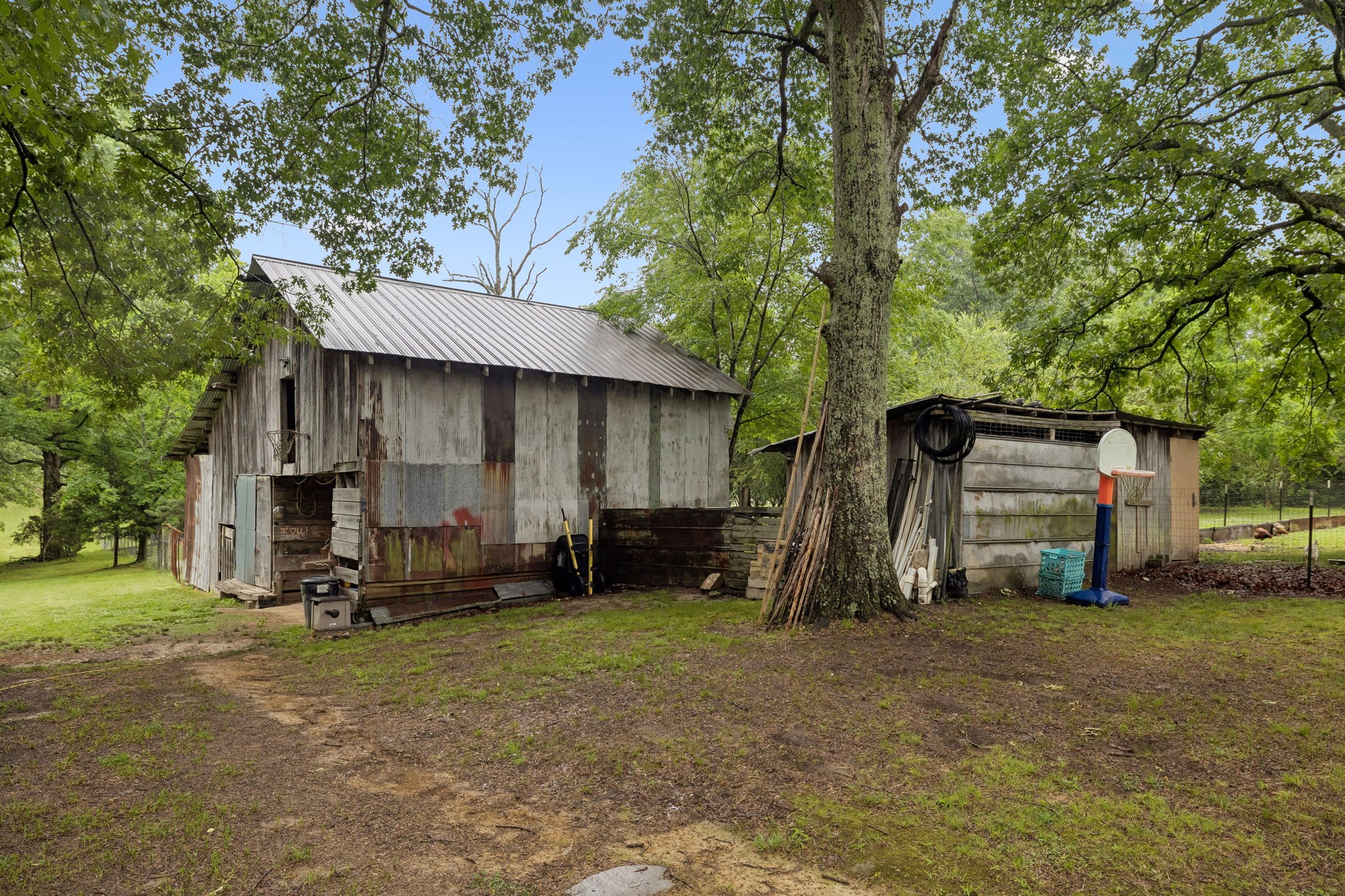 121 Hannah Road Summertown, TN 38483 - Photo 45 of 52 a view of backyard with large trees