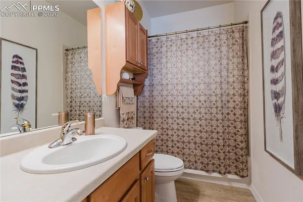 a bathroom with a sink a toilet and shower curtain