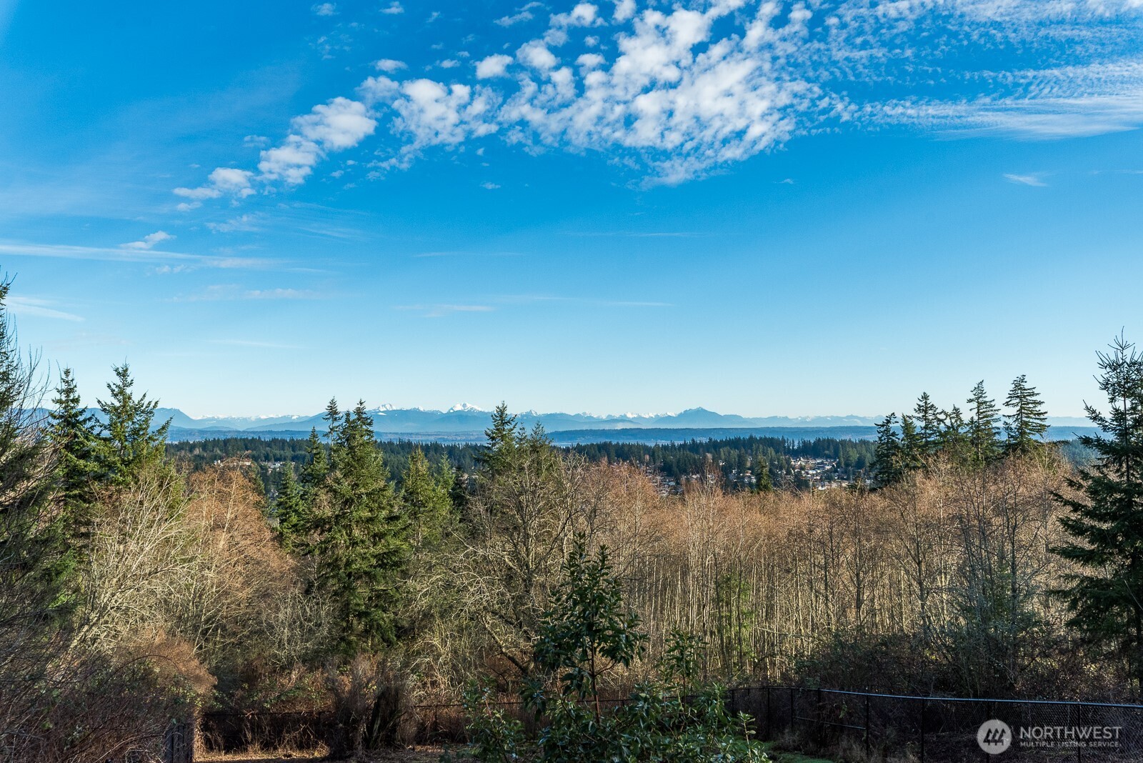 63 North Cross Island Road Camano Island, WA 98282 - Photo 22 of 23 a view of a lake with a mountain in the background