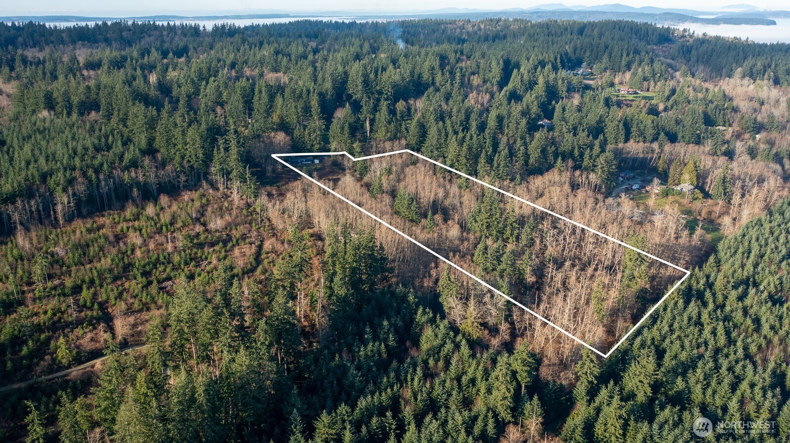 63 North Cross Island Road Camano Island, WA 98282 - Photo 23 of 23 a view of a forest with a forest