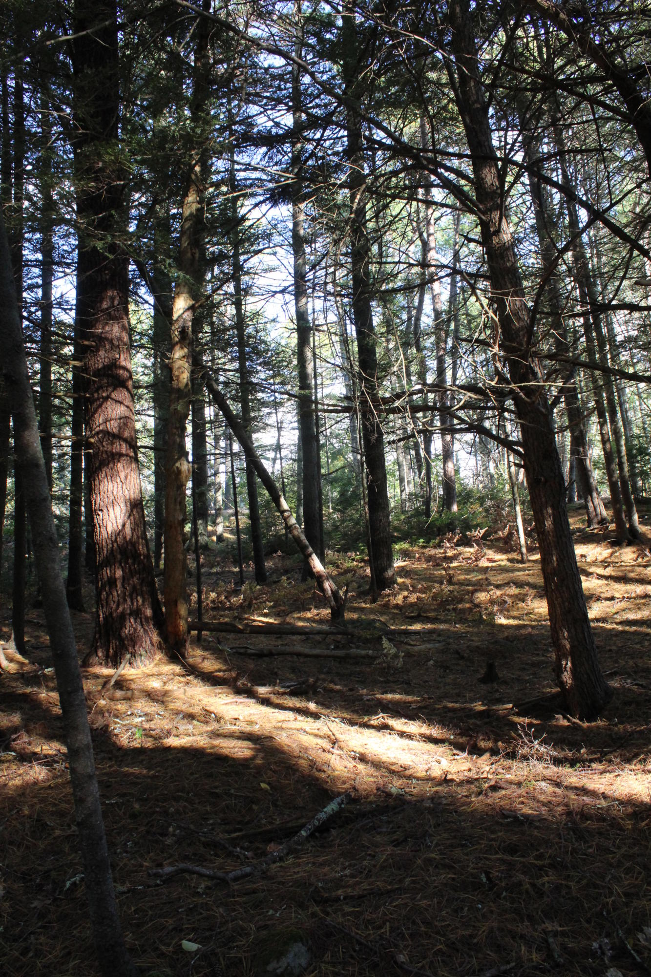 309 Berrys Mill Road West Bath, ME 04530 - Photo 8 of 9 055