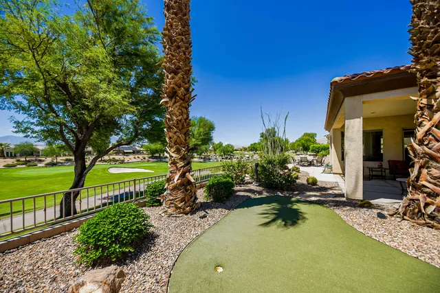 a view of a palm yard with palm trees