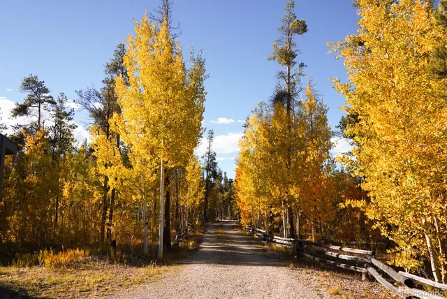 $800,000 | 1110 Circle 73, Fairplay, CO 80440