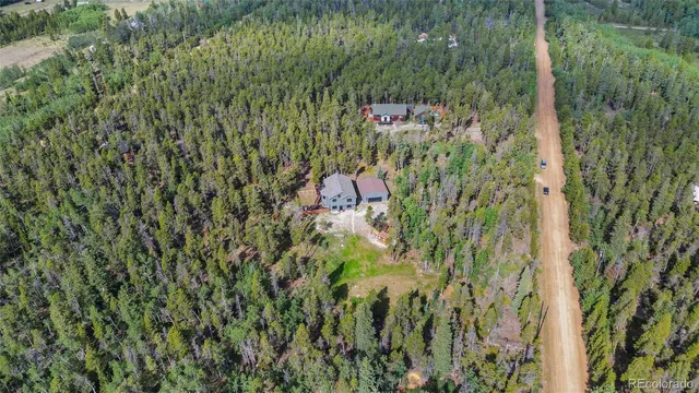 $800,000 | 1110 Circle 73, Fairplay, CO 80440
