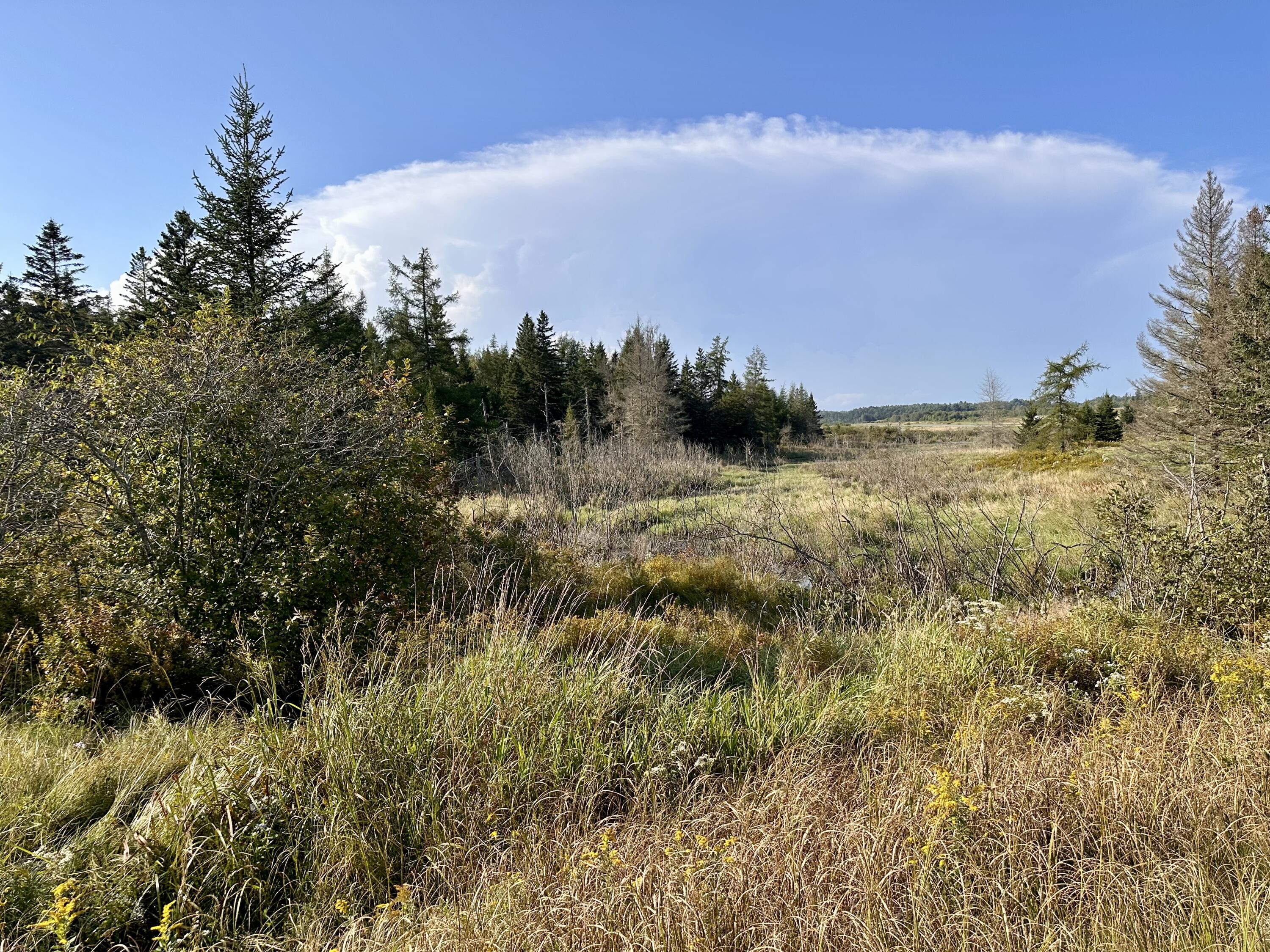 333 Dublin Street Machias, ME 04654 - Photo 1 of 19 IMG_1127