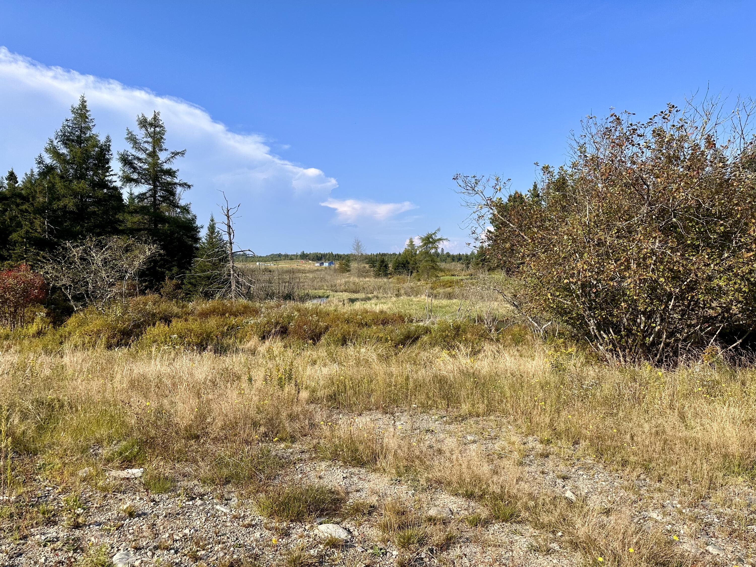 333 Dublin Street Machias, ME 04654 - Photo 16 of 19 IMG_1118