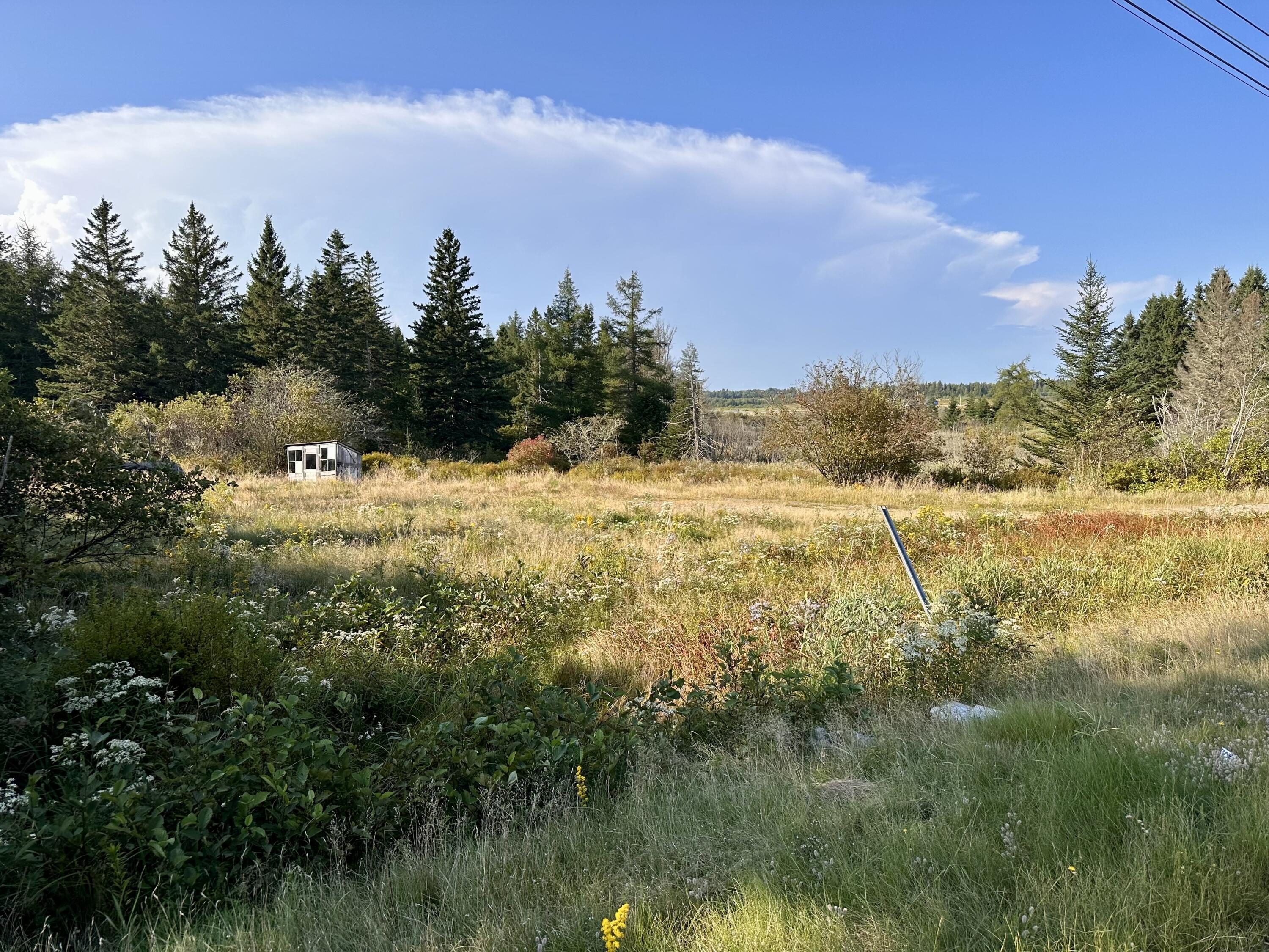 333 Dublin Street Machias, ME 04654 - Photo 5 of 19 IMG_1126