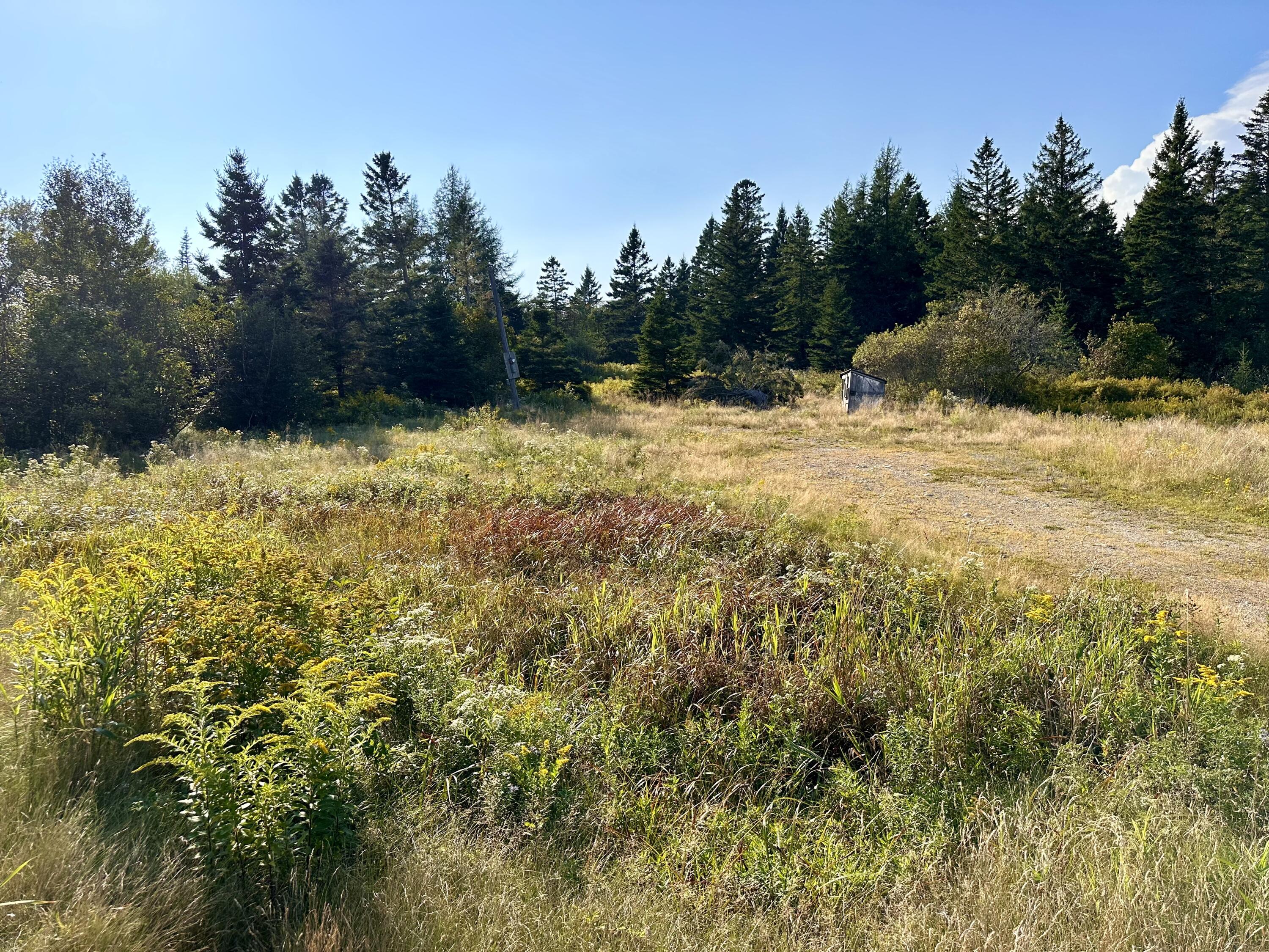 333 Dublin Street Machias, ME 04654 - Photo 7 of 19 IMG_1130