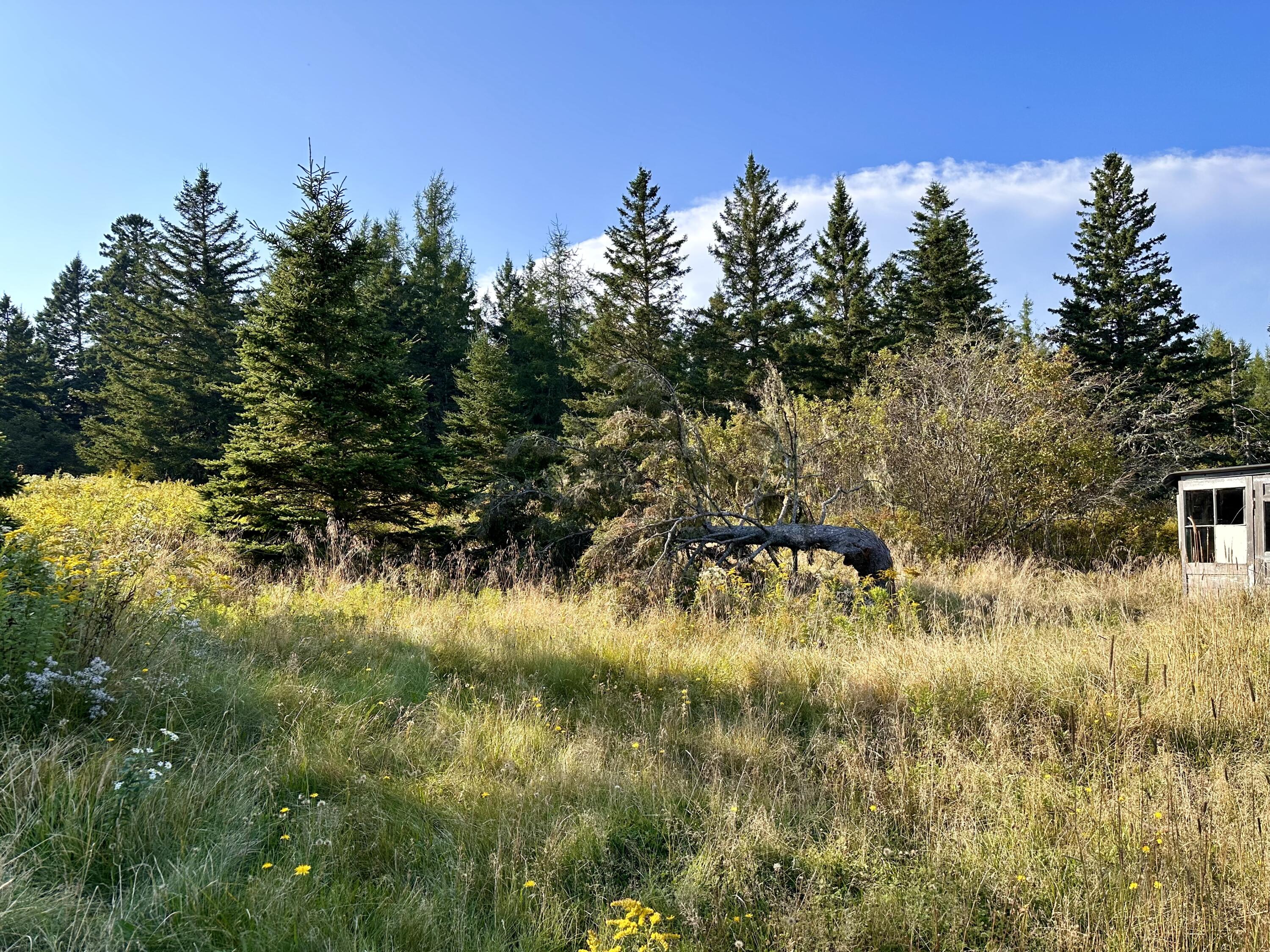 333 Dublin Street Machias, ME 04654 - Photo 10 of 19 IMG_1122