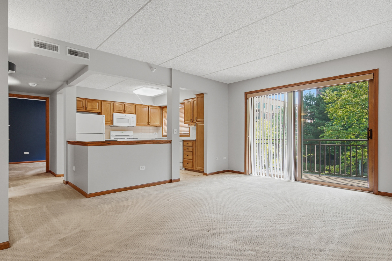10 South Wille Street, Unit 209 Mount Prospect, IL 60056 - Photo 14 of 28