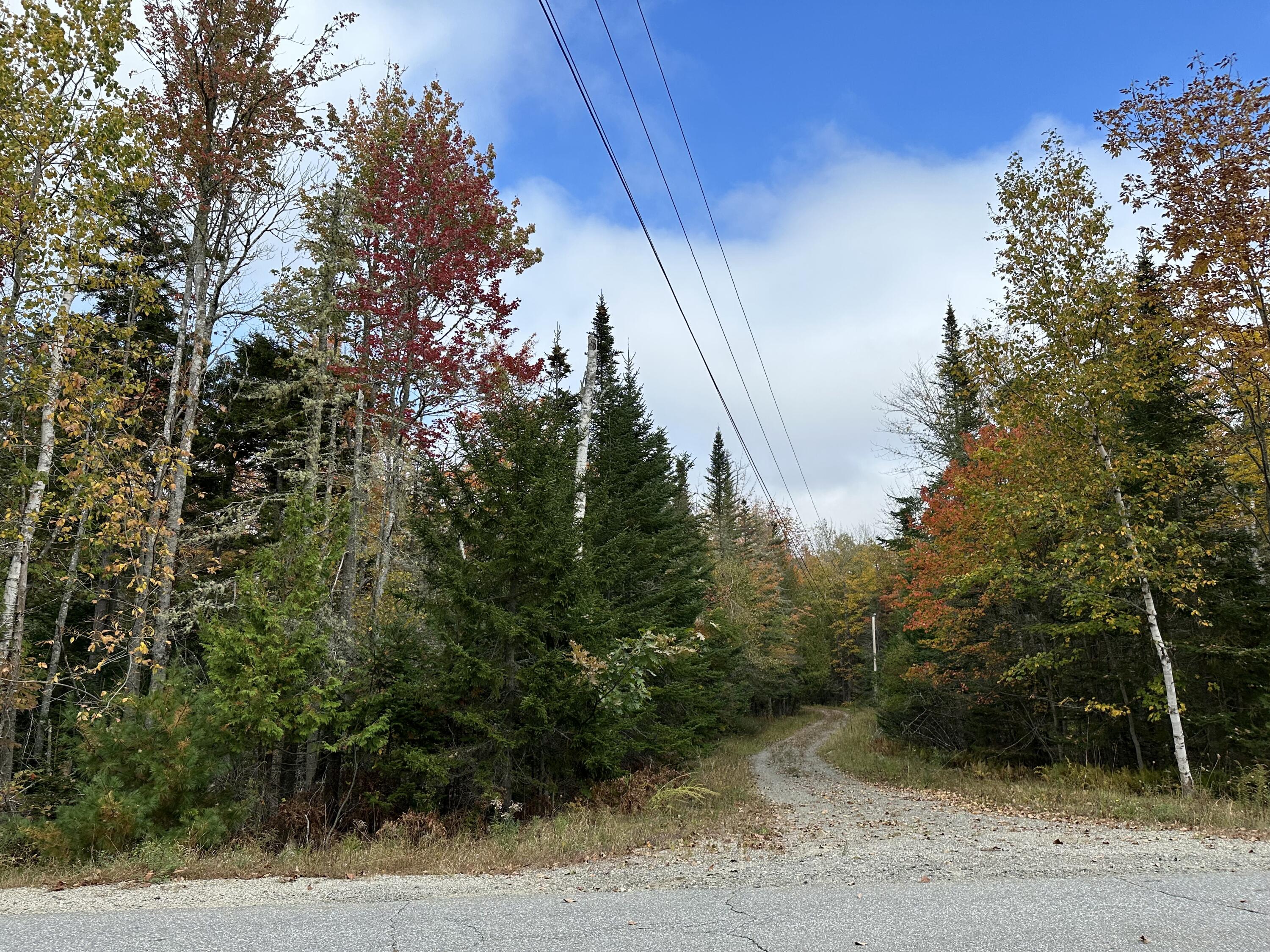 1403 Bucksmills Road Bucksport, ME 04416 - Photo 1 of 11 winding driveway
