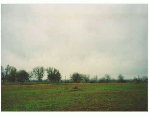 a view of a field with trees