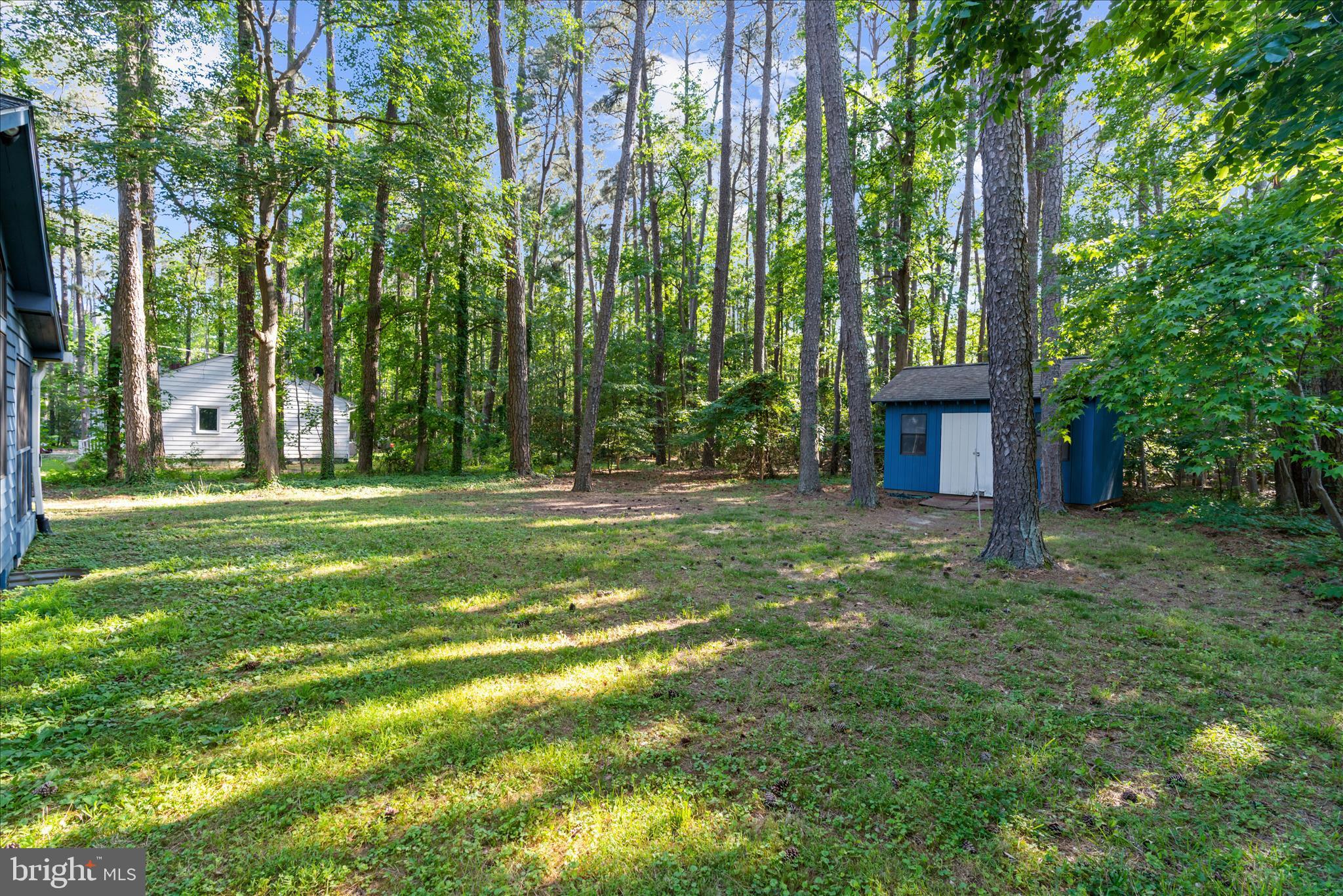 318 Wicomico Road Stevensville, MD 21666 - Photo 37 of 51 Large wooded lot
