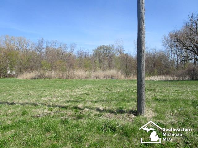 South Custer Road Monroe, MI 48161 - Photo 2 of 2