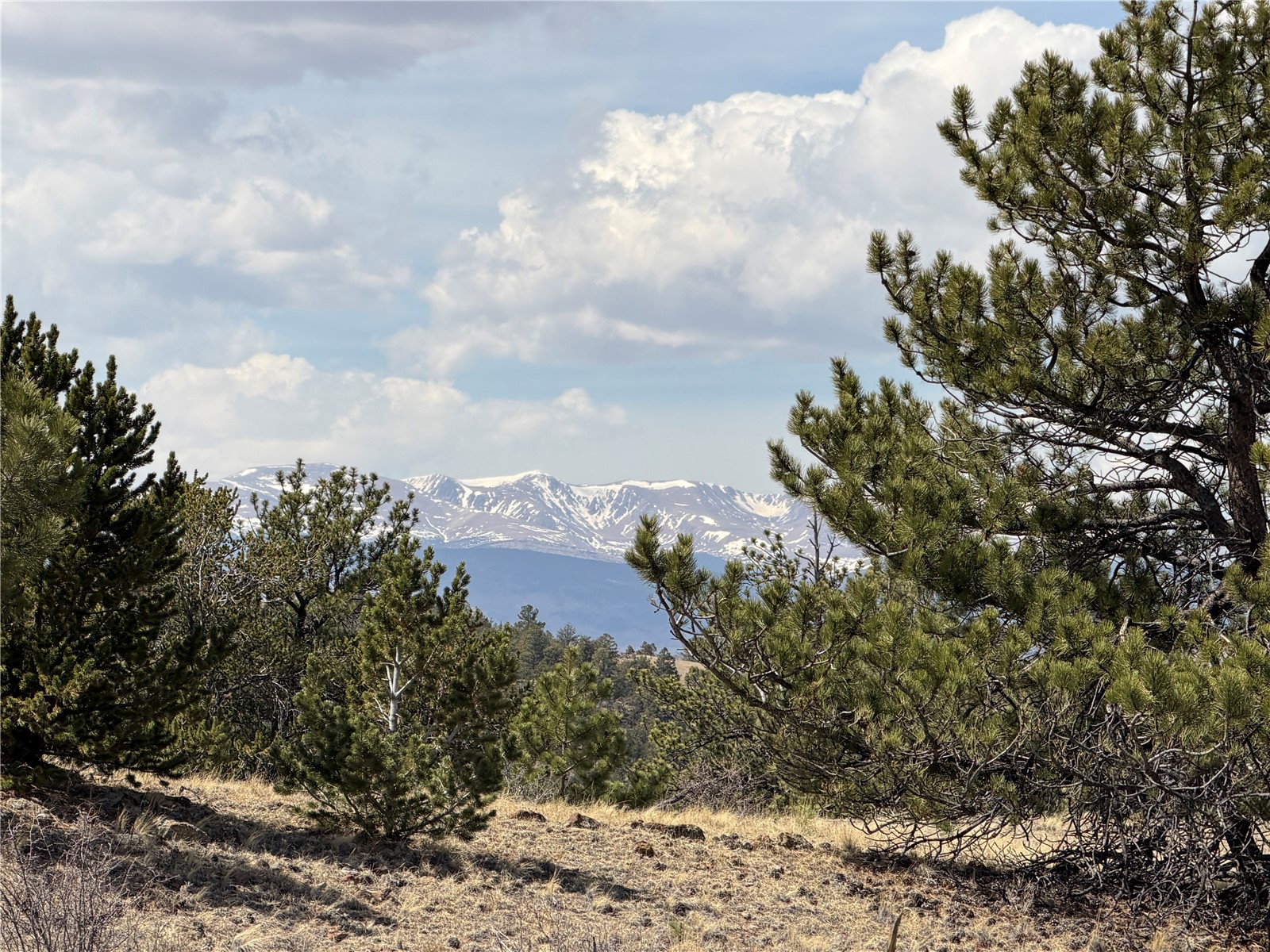 2839 Fitzsimmons Road Hartsel, CO 80449 - Photo 20 of 25 Gallery Image 20