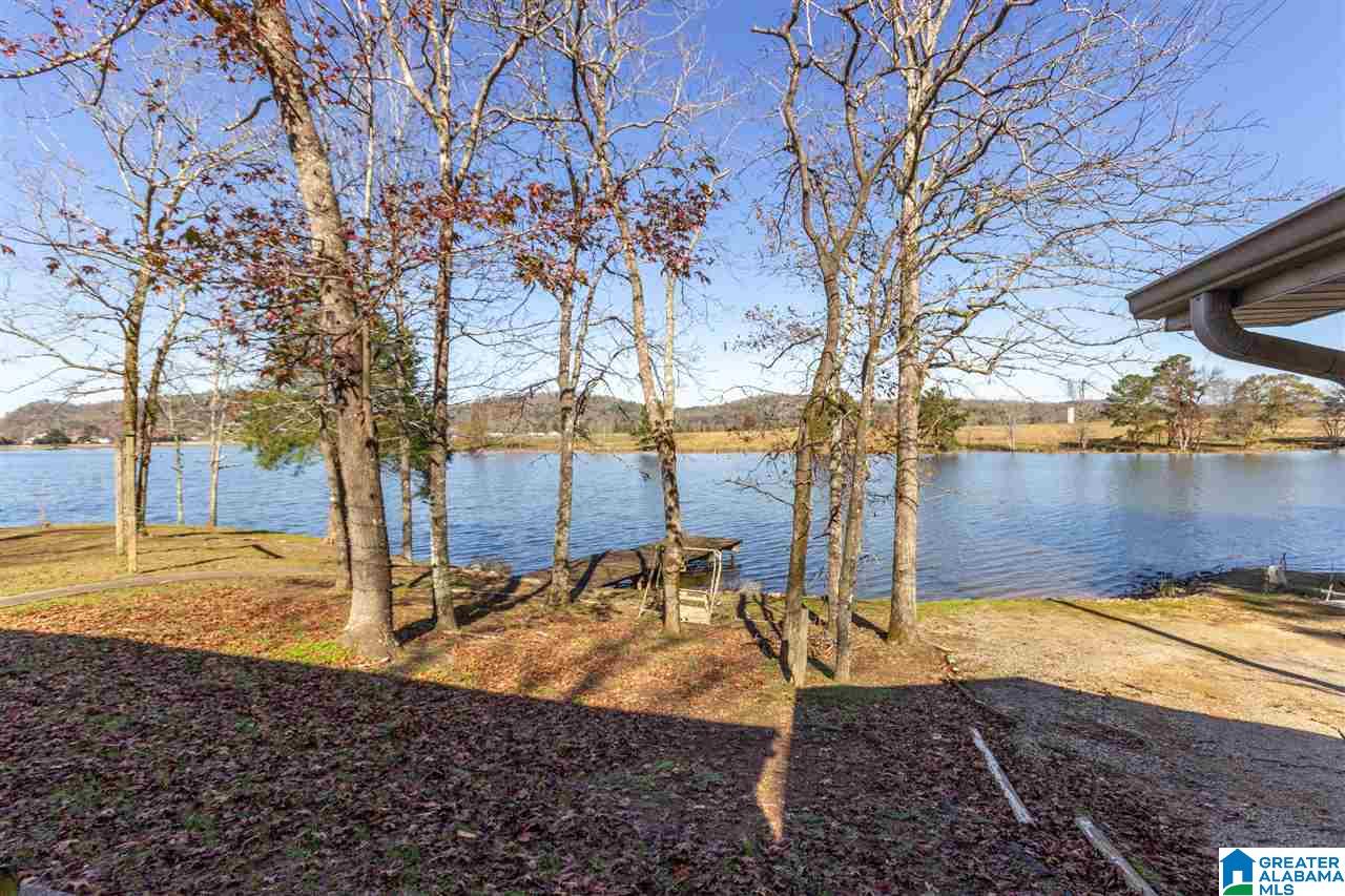 333 Riverview Lane Ohatchee, AL 36271 - Photo 37 of 50