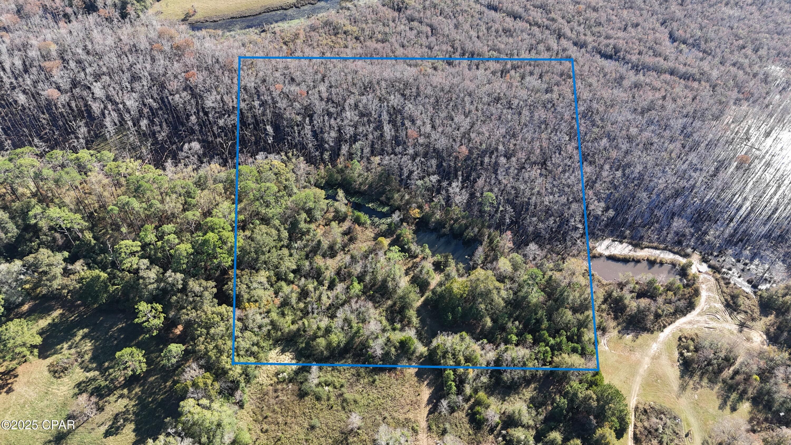 0 Windy Lewis Road Bonifay, FL 32425 - Photo 16 of 18 Gallery Image 16