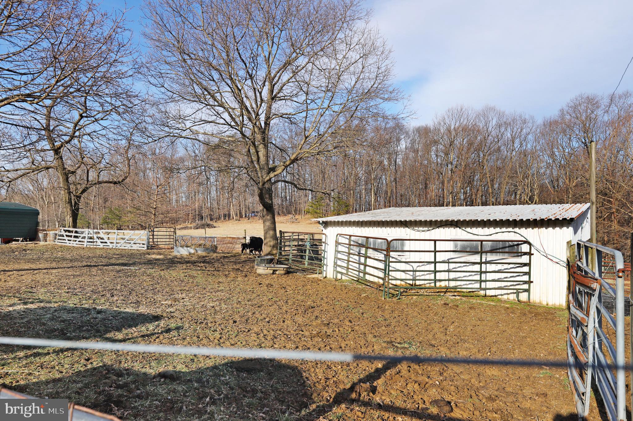 2546 Chestnut Grove Road Sharpsburg, MD 21782 - Photo 28 of 34 Gallery Image 28