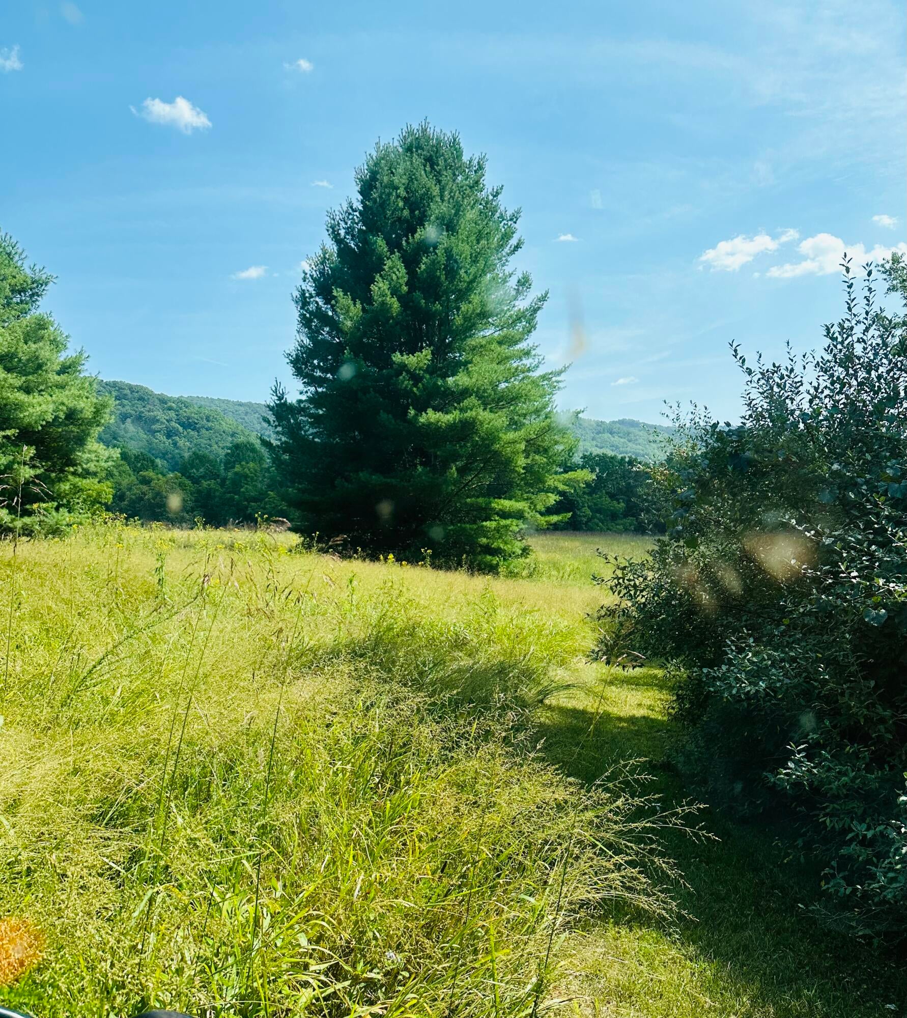 Harper Road Lewisburg, WV 24901 - Photo 3 of 10 Gallery Image 3