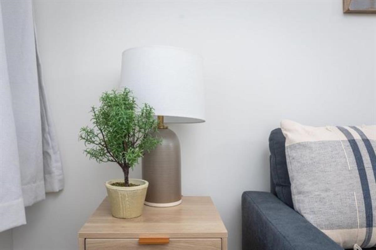 600 East Main Street Waynesboro, VA 22980 - Photo 5 of 33 a view of a flower pot with water heater and chair