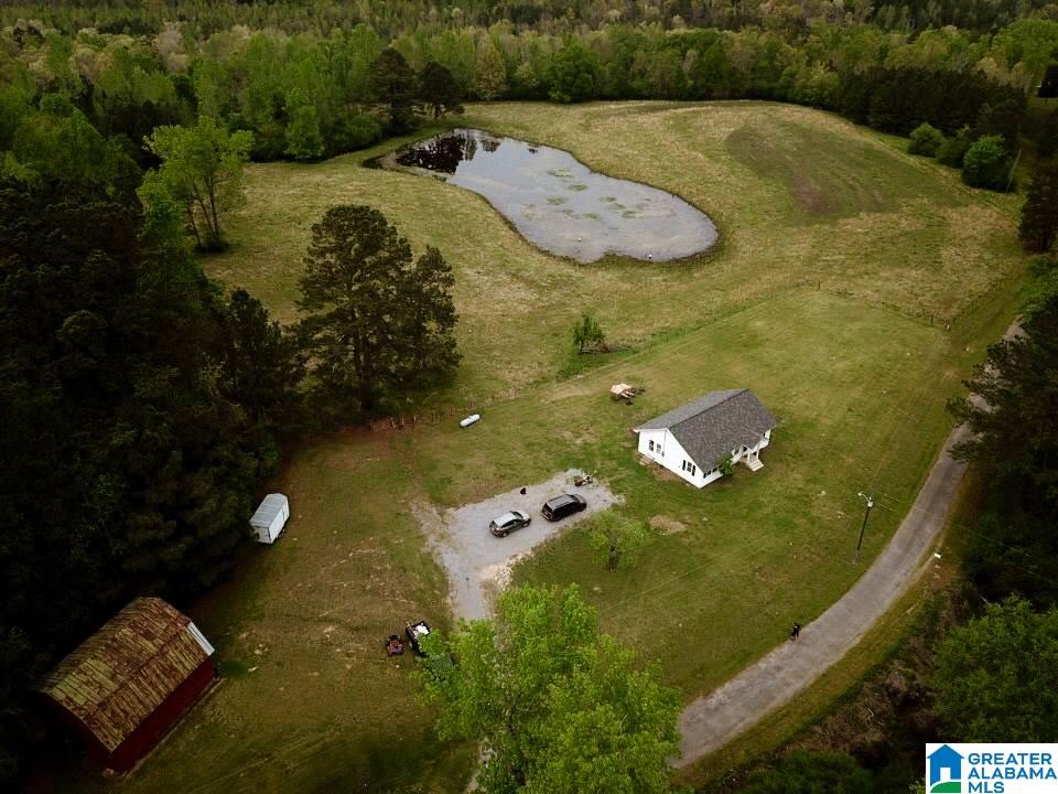 1103 Old Mill Road Blountsville, AL 35031 - Photo 6 of 37