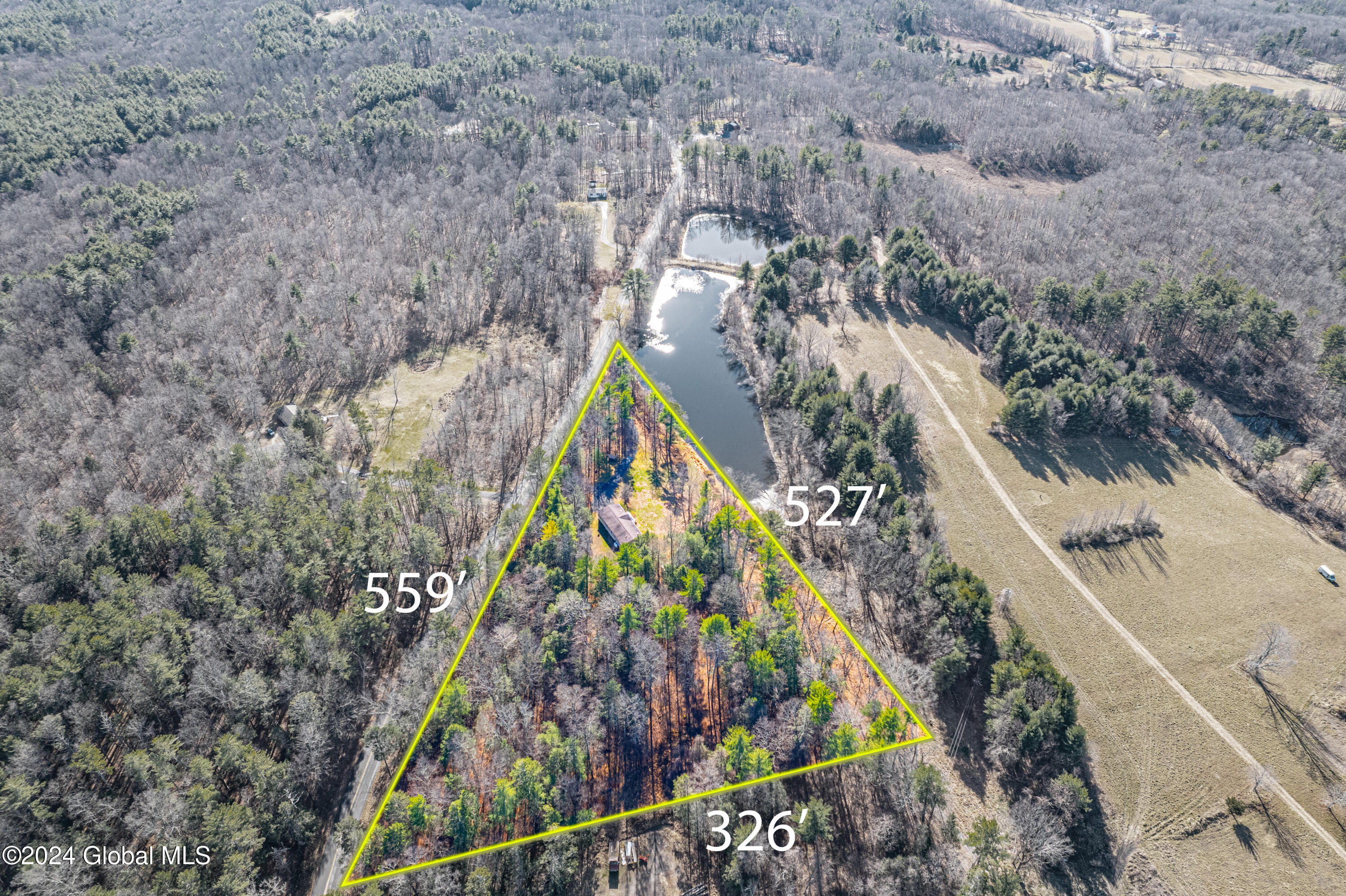 687 Doman Road Cairo, NY 12431 - Photo 3 of 15 approx property line