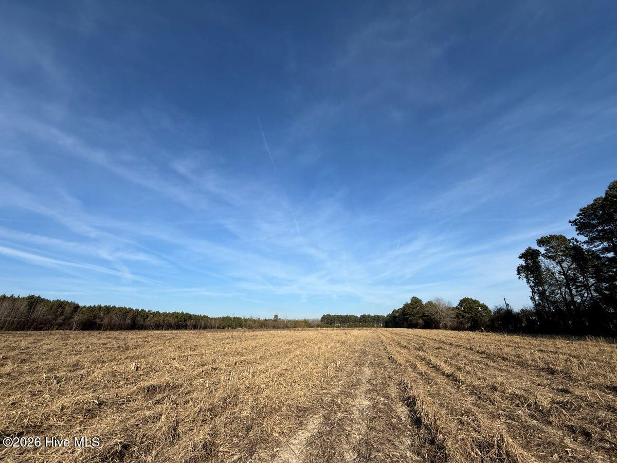 0 Center Road Bladenboro, NC 28320 - Photo 29 of 56 29