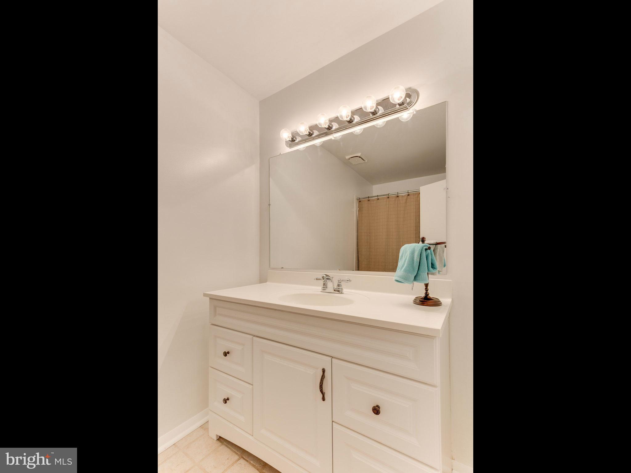 11609 Windbluff Court, Unit 9A1 Reston, VA 20191 - Photo 26 of 30 Bath