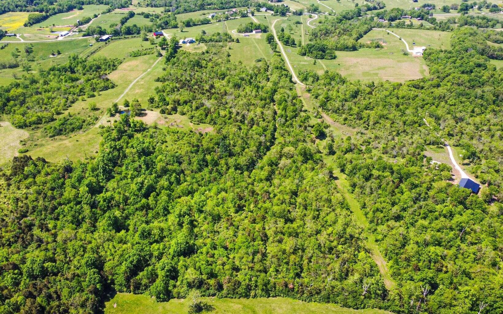 5206 Fords Mill Road Versailles, KY 40383 - Photo 20 of 21 20230513152519783119000000-o
