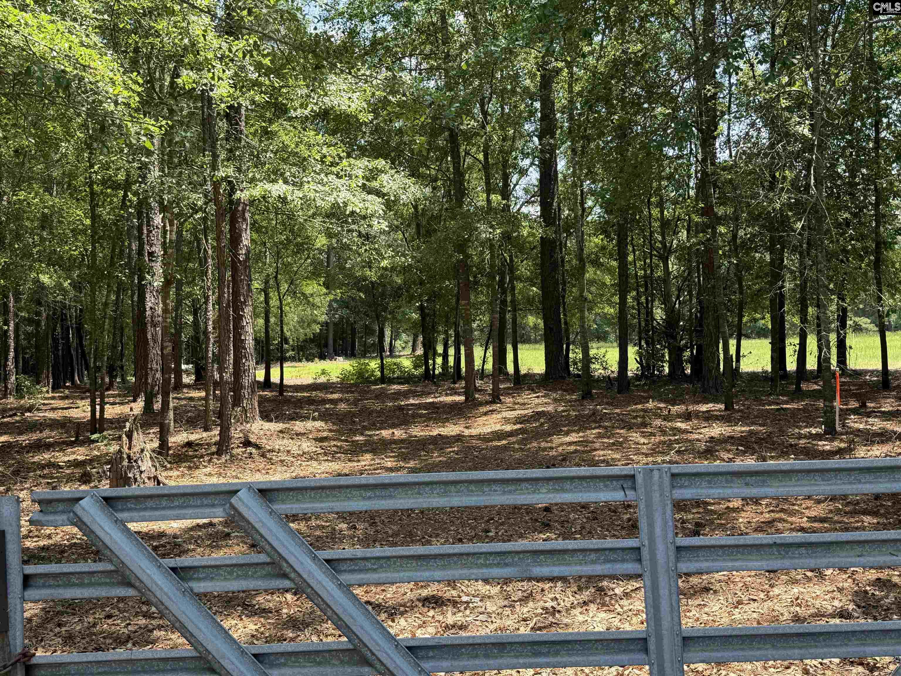 812 Sandfield Road Blythewood, SC 29016 - Photo 22 of 25