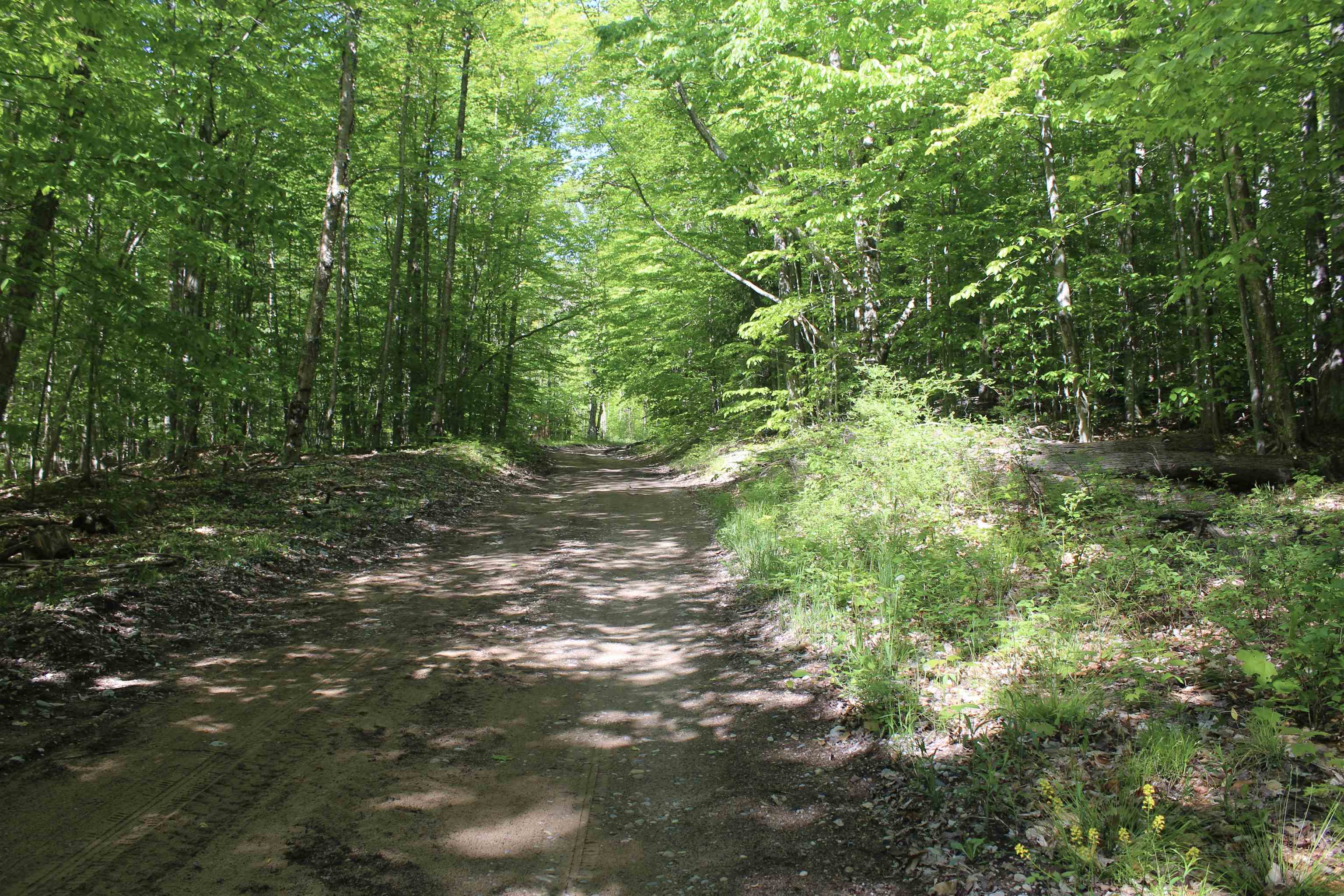 0 Crawford Road Ellsworth, MI 49729 - Photo 10 of 13