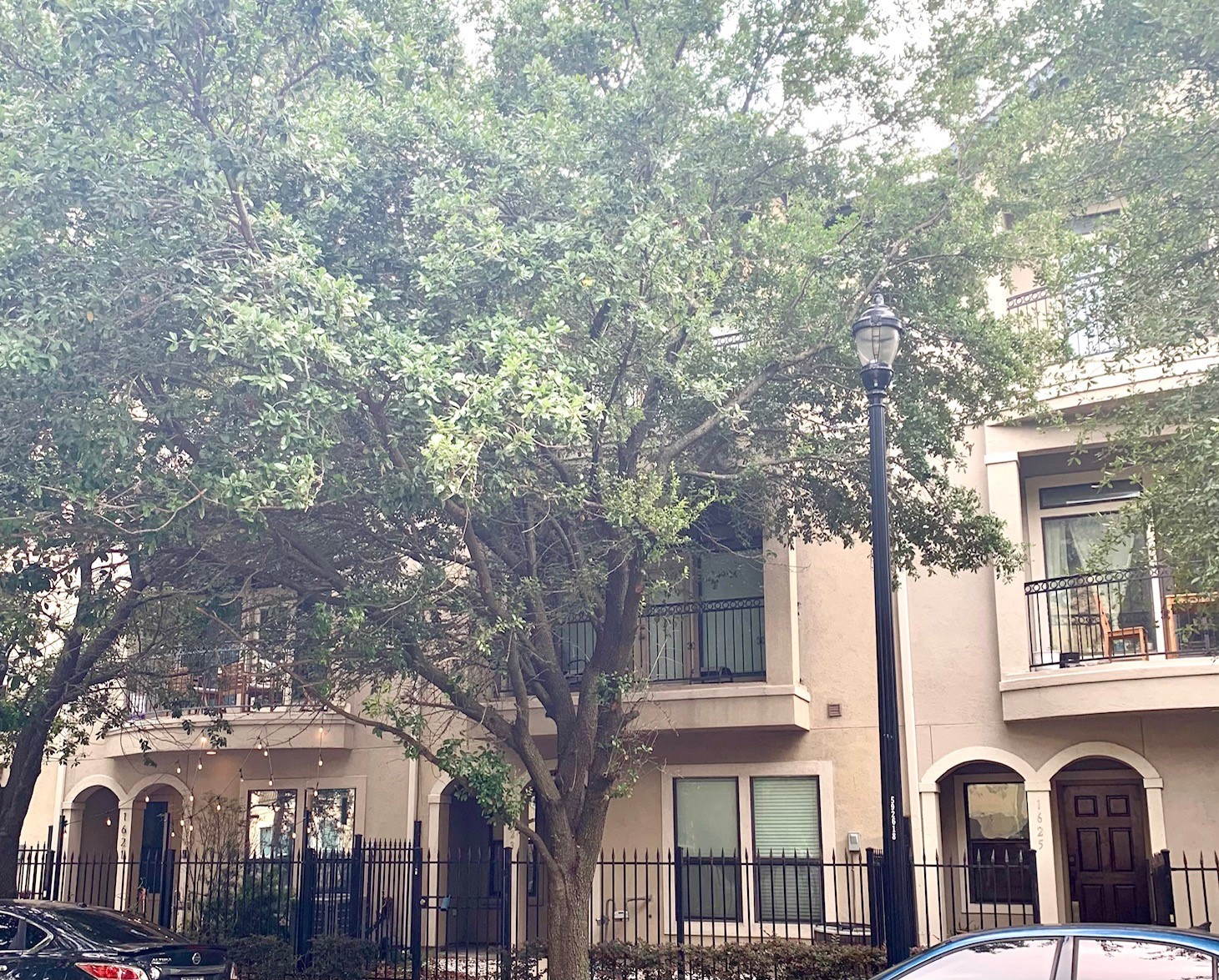 1623 Stuart Street Houston, TX 77004 - Photo 2 of 24 Beautiful tree provides shade for the balcony.