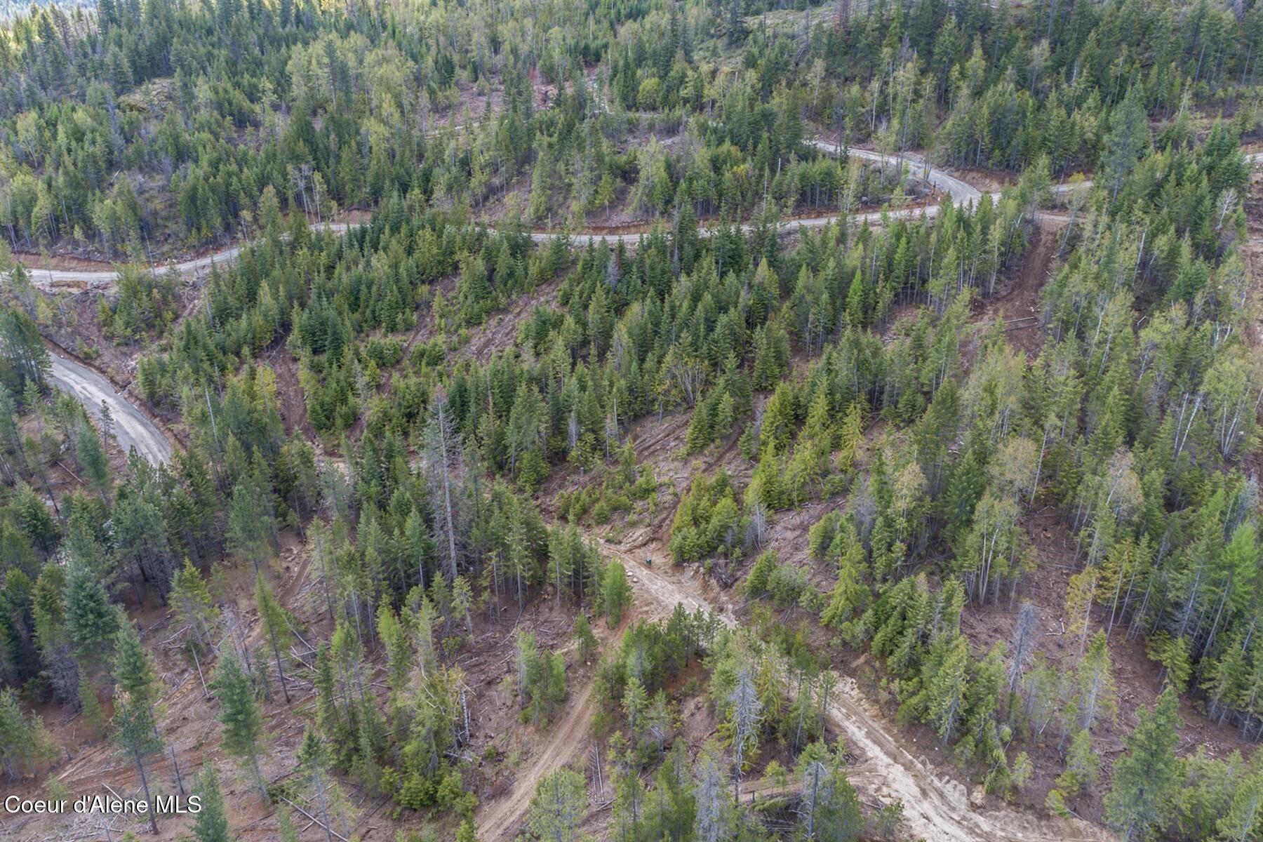 500 Outlook Road Cocolalla, ID 83813 - Photo 6 of 18 Davis Cottage Lot 42