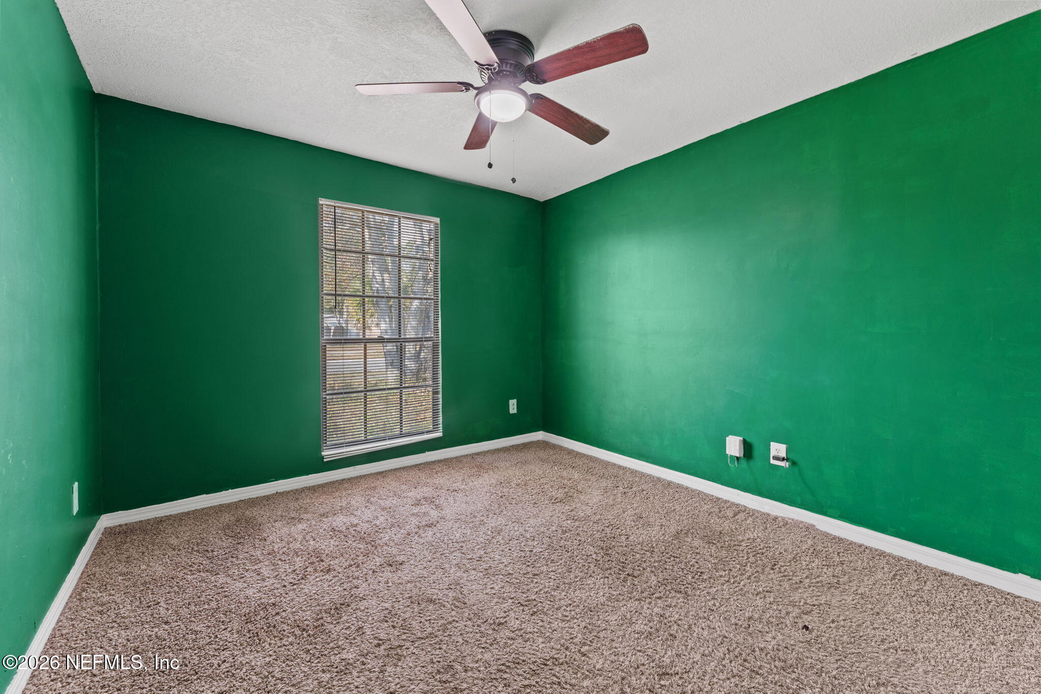 3769 Spring Lake Road Jacksonville, FL 32210 - Photo 19 of 23 18-web-or-mls-DSC03458