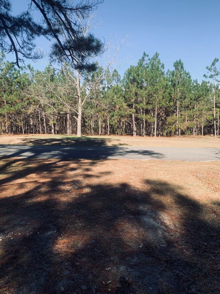 1235 Tired Creek Road Whigham, GA 39897 - Photo 9 of 11 Gallery Image 9