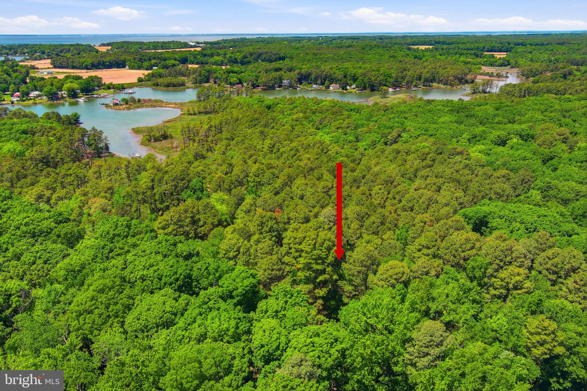 22300 Frazier Road Rock Hall, MD 21661 - Photo 25 of 38 a view of a lake with a building in the background