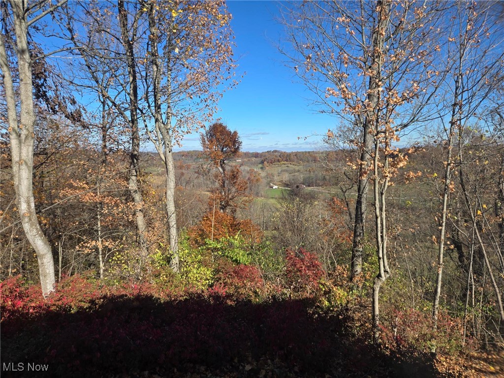 6376 Nichols Road Malta, OH 43758 - Photo 22 of 23 View of local wilderness