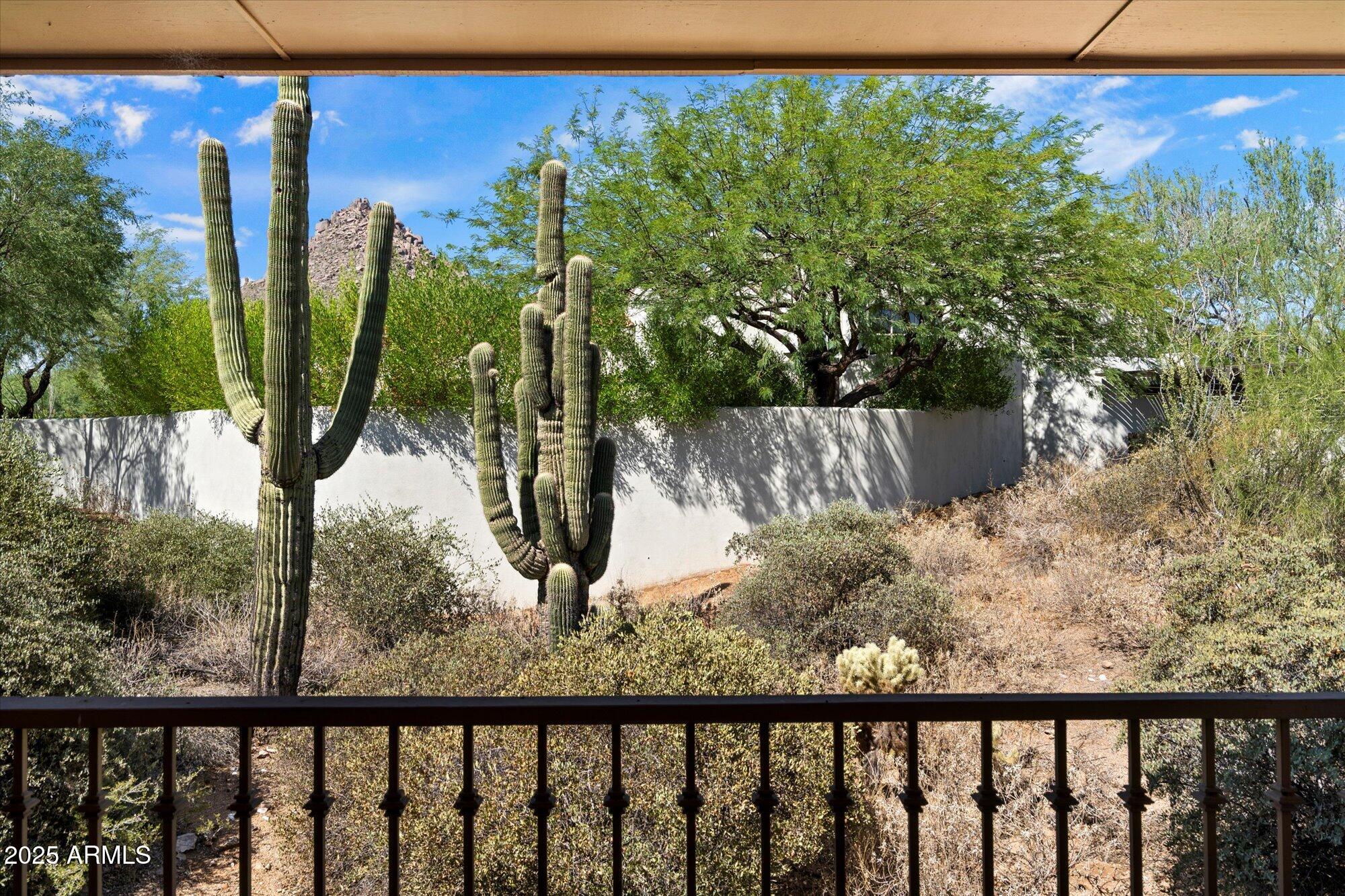 10801 East Happy Valley Road, Unit 133 Scottsdale, AZ 85255 - Photo 33 of 75 a view of a trees in a balcony