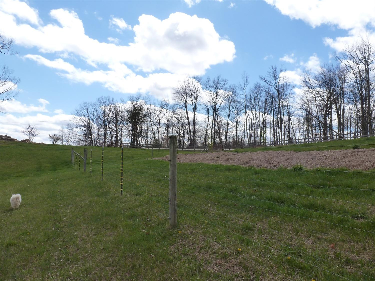 3821 Amos Ridge Road Frenchburg, KY 40322 - Photo 57 of 88 Photo 57
